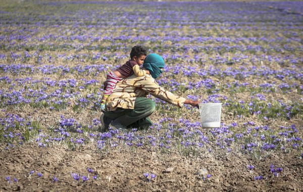 AHMAD HALABISAZ / XINHUA / CORBIS