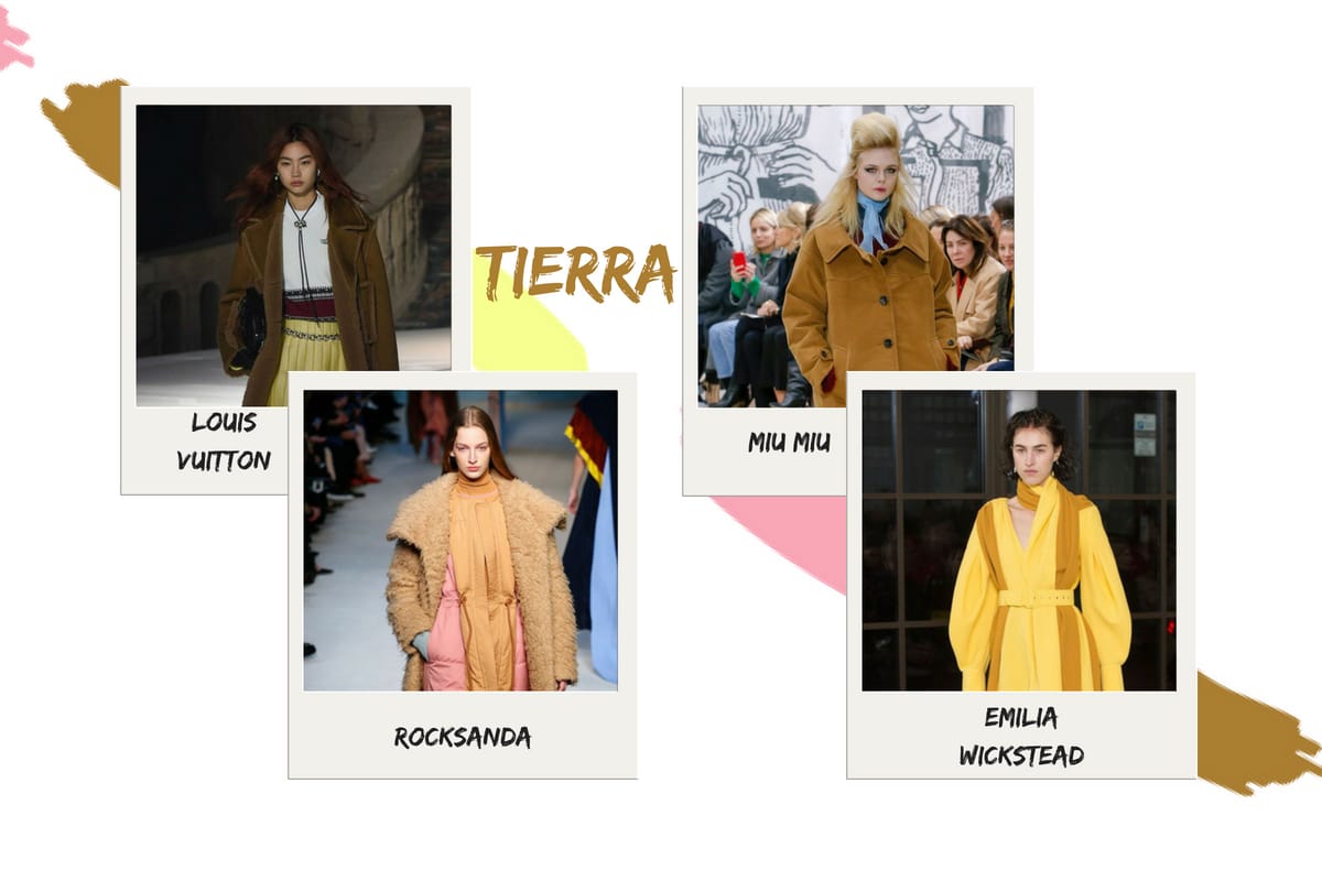 Color tierra tendencia